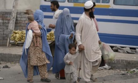 اسلام آباد میں 539 غیر قانونی افغان باشندے گرفتار