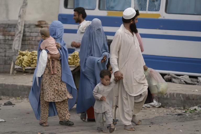 اسلام آباد میں 539 غیر قانونی افغان باشندے گرفتار