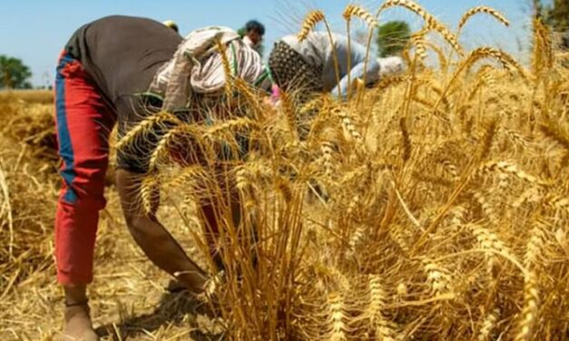 کسان کارڈ رہنمائی اور پنجاب حکومت کی نئی سہولیات