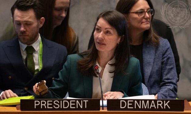 افغانستان میں ٹی ٹی پی کی حمایت پر ڈنمارک کی خبرداری