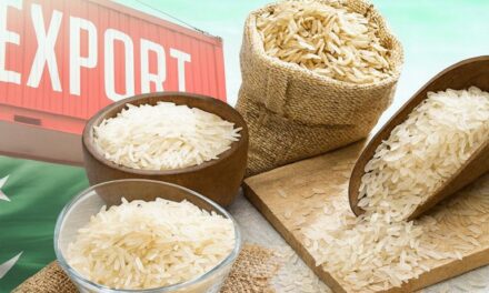 ٹی سی پی کا چاول خریداری ٹینڈر اور بولیوں کی تفصیل