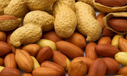 مونگ پھلی کے فوائد اور کھانے کے بعد پانی پینے کا سچ