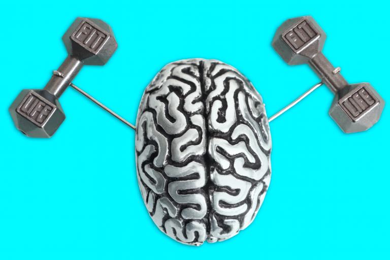 سوئس سائنسدانوں کا خون کی شریانوں میں مائیکرو روبوٹ