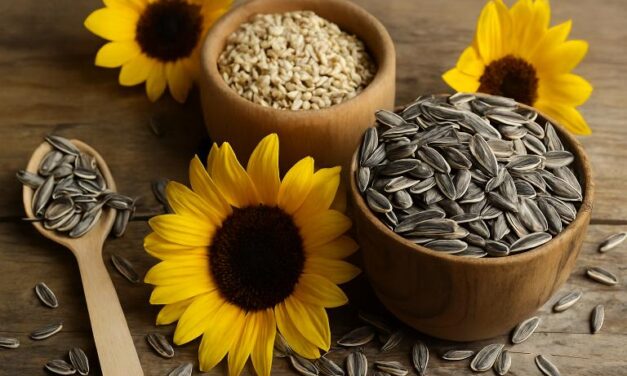 سورج مکھی کے بیج: صحت کے لیے 8 حیرت انگیز فوائد