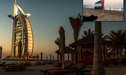 یو اے ای میں نئے سال کی نجی شعبے کیلئے اضافی تعطیل