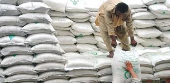 سندھ حکومت کا تاجروں کو گندم کی فراہمی روکنے کا فیصلہ
