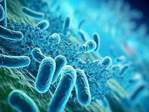 تحقیق: تمام وائرس نقصان دہ نہیں، کچھ صحت کے لیے مفید